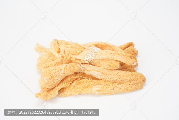 菌菇竹蓀