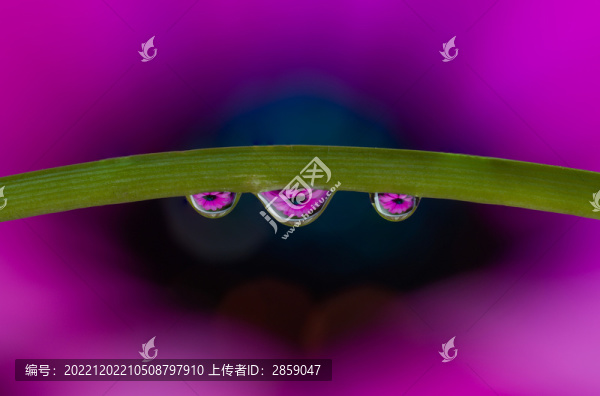 水滴