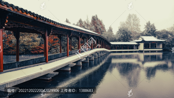 浴鵠灣初雪