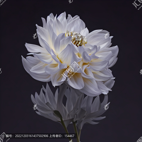 花卉