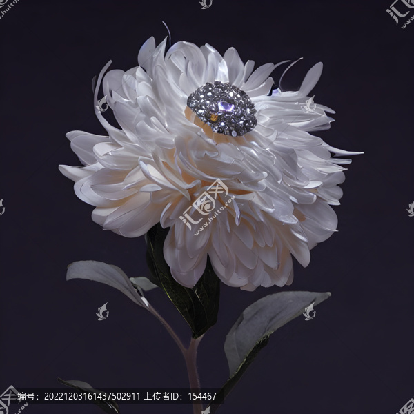 花卉