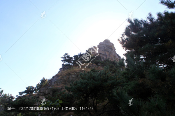 田園秋色