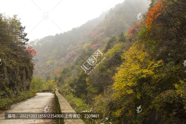 小路