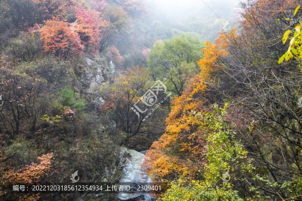 秦嶺風(fēng)光