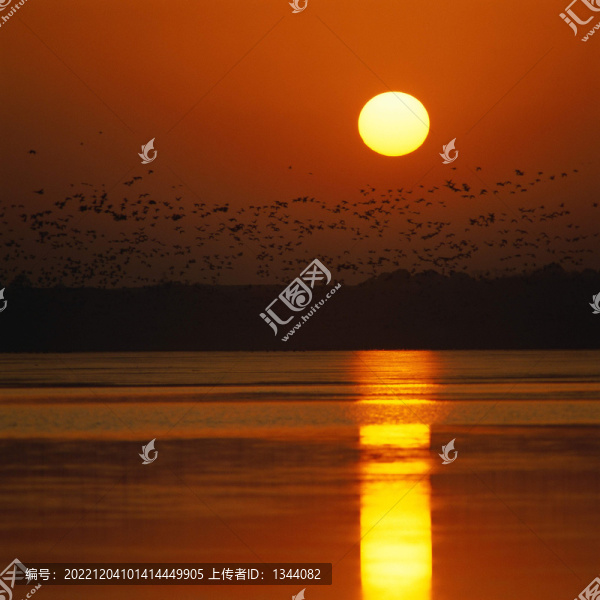 夕陽(yáng)河流