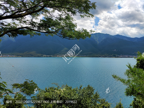 樹(shù)與湖泊