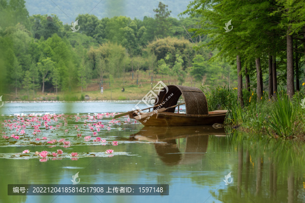 荷塘