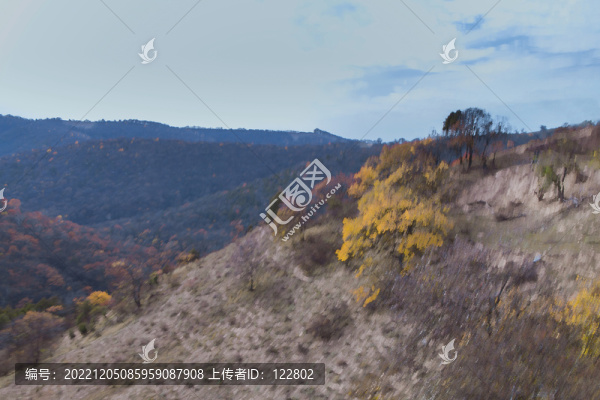 遠(yuǎn)山