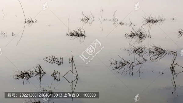 河面枯草