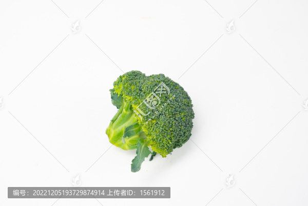 西藍(lán)花