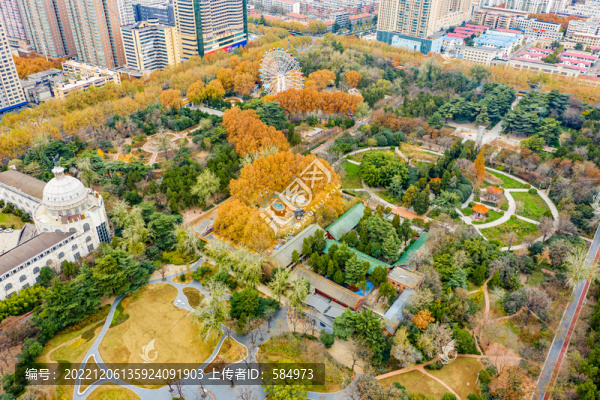 鄭州碧沙崗公園黃色綠色樹林