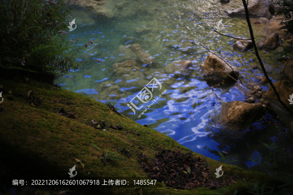 幽靜湖面