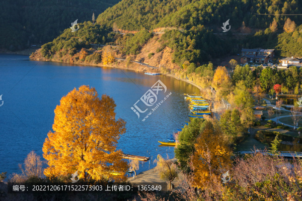 瀘沽湖秋色