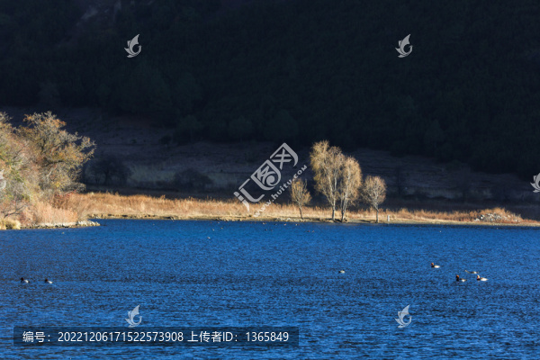 瀘沽湖