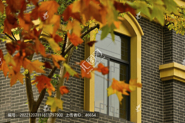 窗景