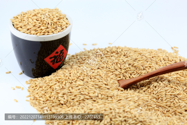 雜糧燕麥