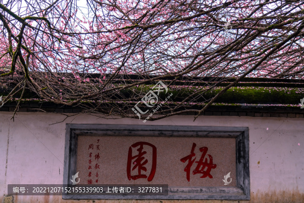梅園