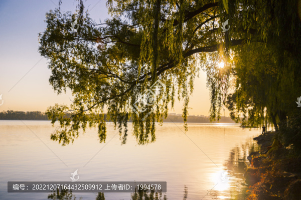秋景