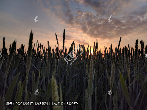 日出日落夕陽(yáng)晚霞光黃昏云彩