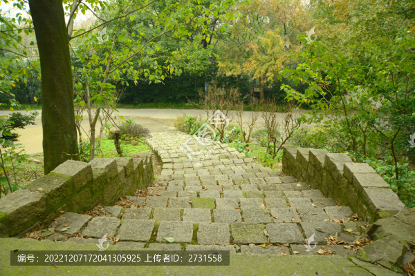 階梯