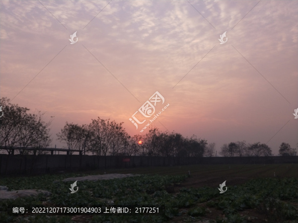 夕陽與土地