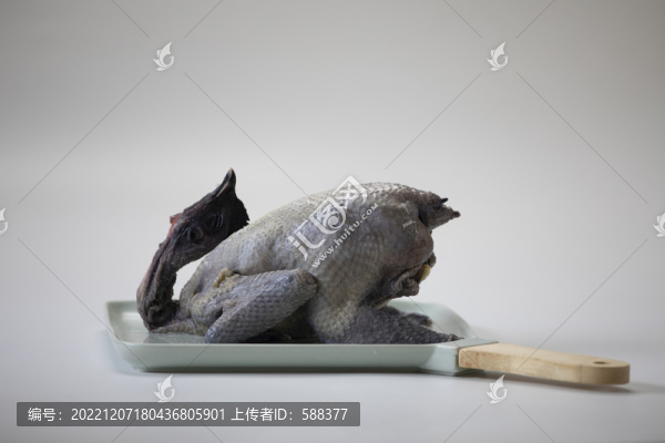 凈菜散養(yǎng)烏雞烏骨雞