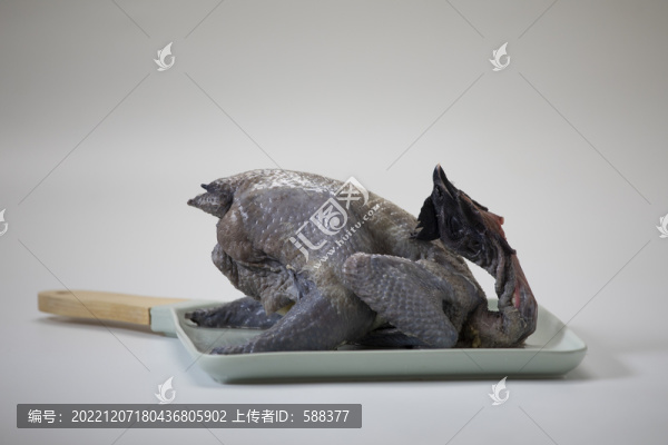 凈菜散養(yǎng)烏雞烏骨雞