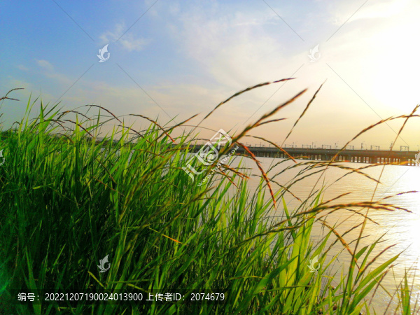 滹沱河生態(tài)濕地