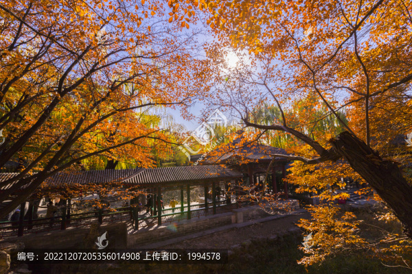 秋景