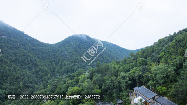 大理市劍川縣寶相寺樹林