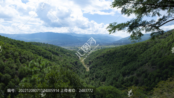 劍川縣沙登箐石窟景區(qū)樹林