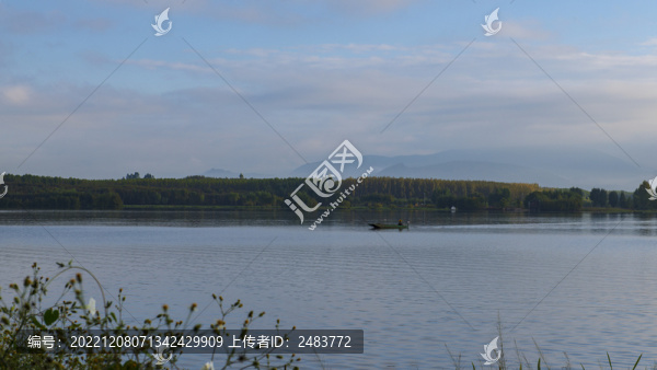 劍湖國(guó)家濕地公園樹(shù)林