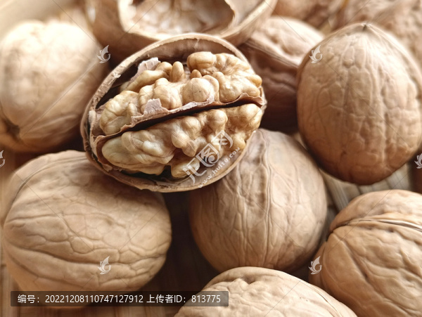 堅(jiān)果薄皮小核桃