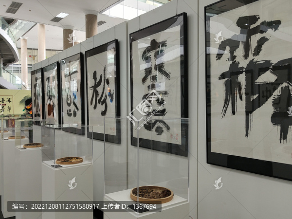 二十四節(jié)氣中藥