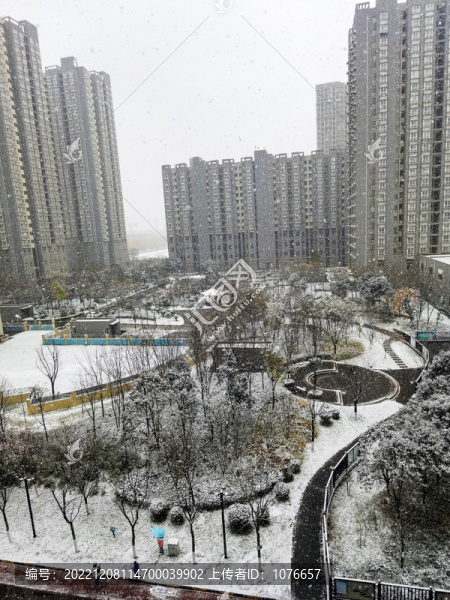 冬季雪景冬天雪