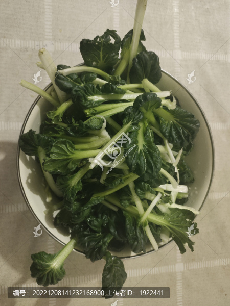 烏塌菜火鍋配菜