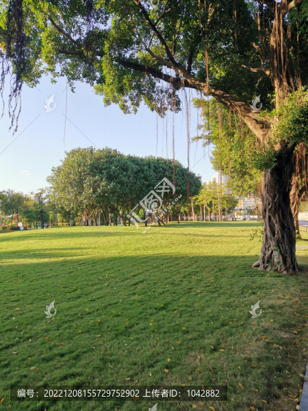 兒童公園