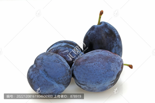 新鮮西梅