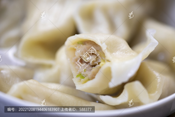 傳統(tǒng)手工鮮肉白菜水餃