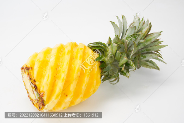菠蘿