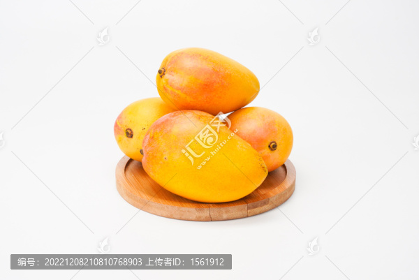 芒果