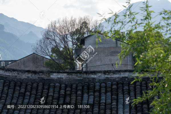 背景畫(huà)