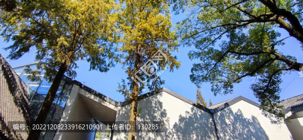 新中式建筑內(nèi)庭景觀
