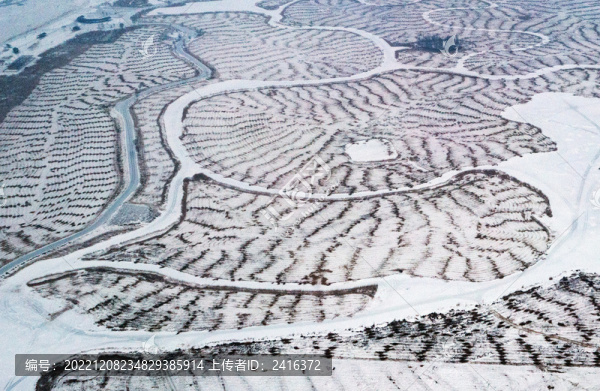 雪后扎龍濕地