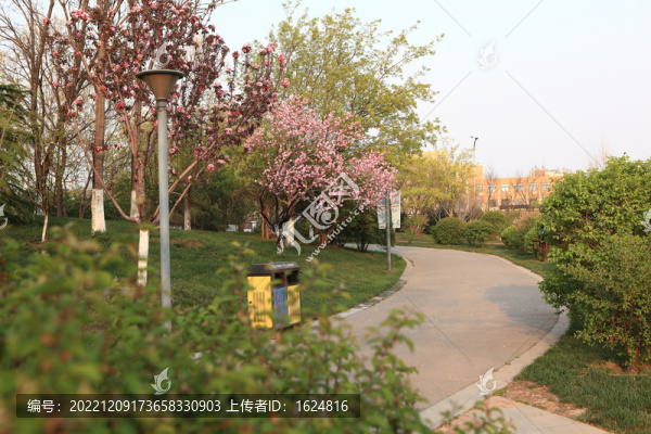春天的公園