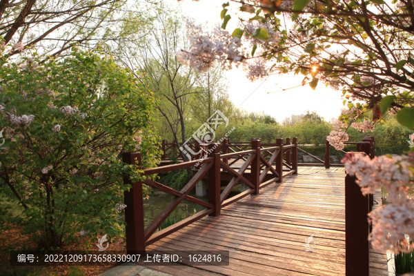 春天的公園