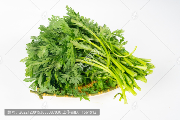 茼蒿