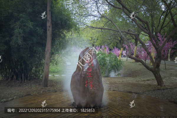 寧波象山影視城明星林