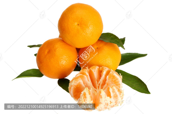 柑橘