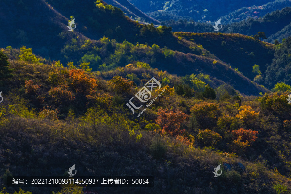 山野秋色